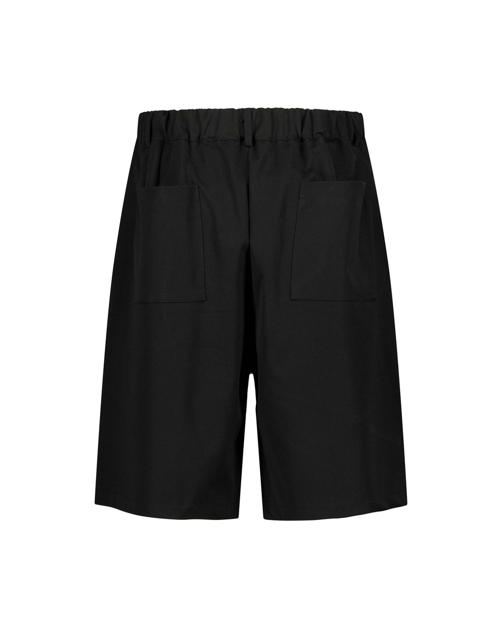 PLEATED STRAIGHT-FIT SHORTS – ZALANA™