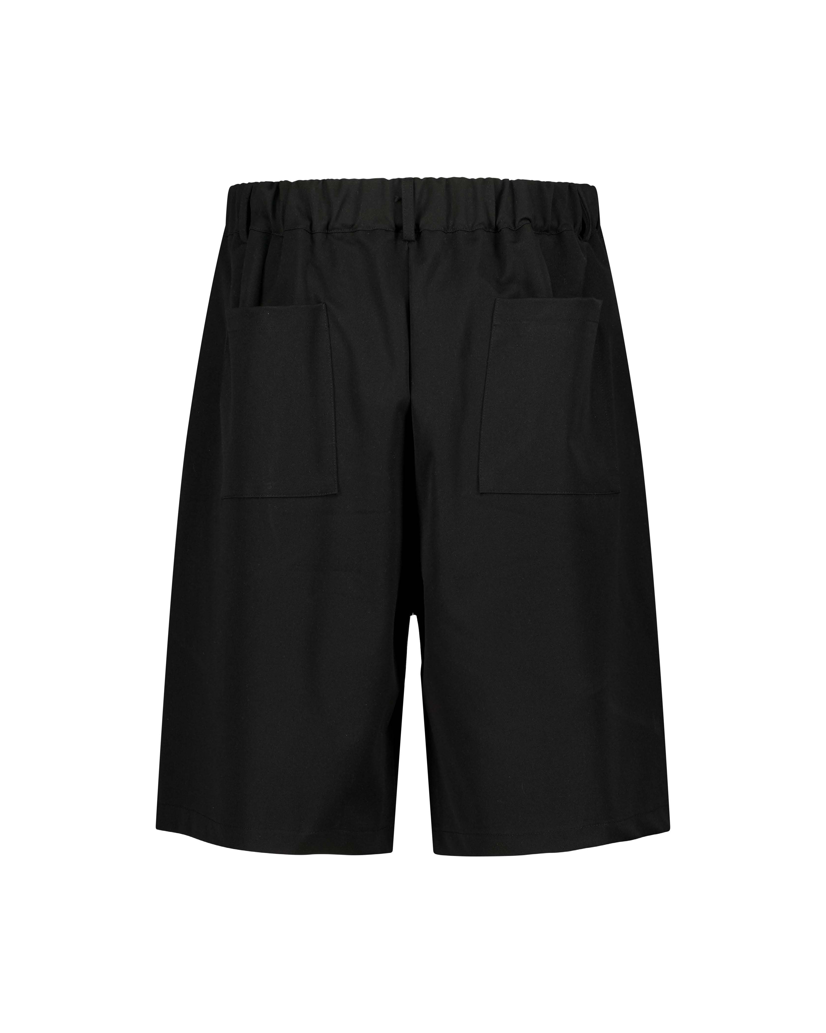 PLEATED STRAIGHT-FIT SHORTS – ZALANA™